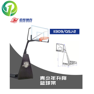 金陵  青少年升降式QSJ-2籃球架（每個(gè)配一個(gè)移動(dòng)裝置-可移動(dòng)/送貨/安裝）