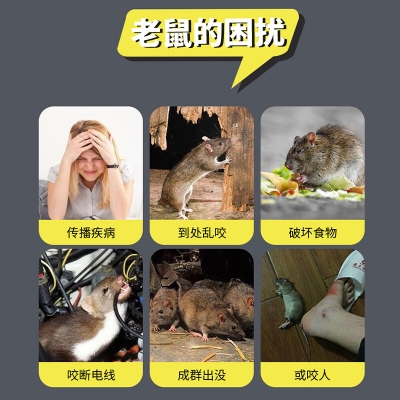 粘鼠板超強(qiáng)力老鼠貼家用滅鼠捕鼠神器加大加厚鼠板一窩端5張
